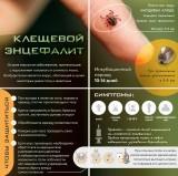 /children/DocLib2/Снимок экрана 2025-03-31 124122.png